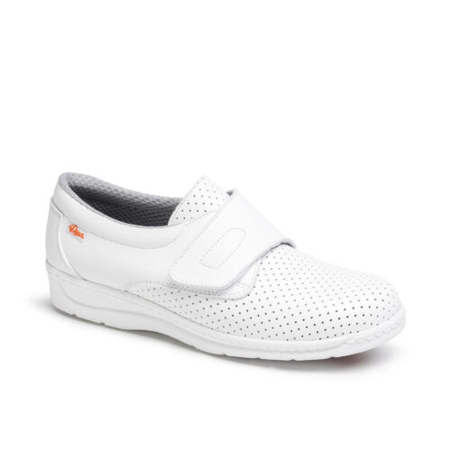 1900 Blanco 0008 2